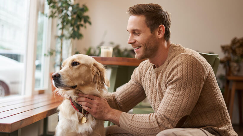 Юридическая защита прав владельцев животных: в каких случаях поможет адвокат?